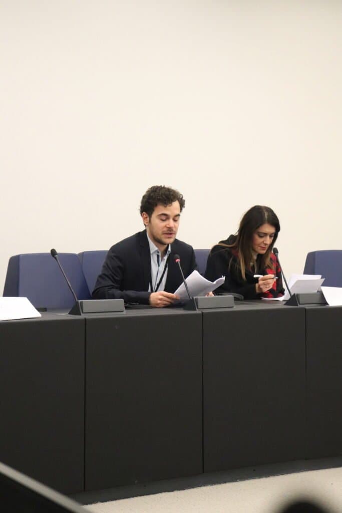 Mimosa